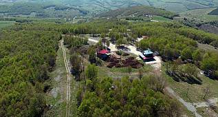 Mamur Dağı yeni doğal yaşam alanı