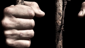 Gökçek mahkumlara af çıkacağını tahmin ediyorum