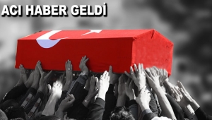 Hakkari'de bombalı tuzak 1 şehit, 3 yaralı