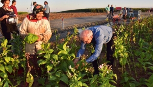 Bir başkanın tarlada başlayan başarı hikayesi 