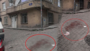 Ağabeyini bıçaklayarak öldürdü 