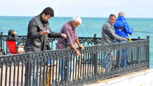 Balıkçılar sahile akın etti 