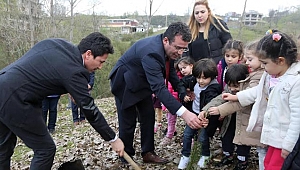 Atakum ilçesi yeşilleniyor 