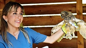 Hayvanlara bebek gibi bakılıyor 