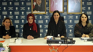 Çiğdem Karaaslan, rejim değil hükümet modeli değişiyor