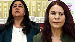HDP'li Demirel ve Konca gözaltına alındı