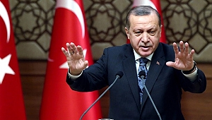 Cumhurbaşkanından referandum yorumu 