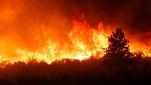 Mersin Göksu Deltası'nda yangın söndürülemedi
