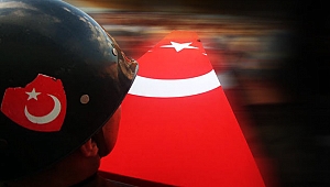 Şehit haberi ElBab'tan geldi 