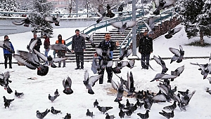 Sokak hayvanlarına sevgi eli ulaştı 