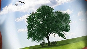 Enerji çevre ve iklim değişikliği durumu 