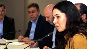 Karaaslan, referandum yol haritasını çizdi 