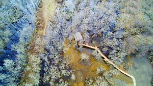 Kızılırmak Deltası Kuş Cenneti büyülüyor