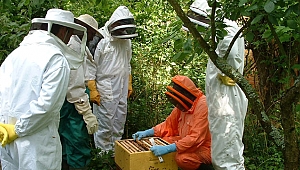 Samsun’da orman köylülerine 20 milyon destek