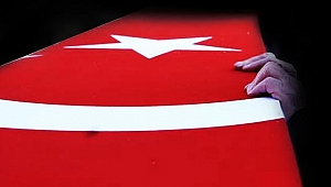 Diyarbakır Lice’den acı haber 1 şehit 