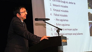  Fındıkta rekolteyi artıracak çözüm bulundu