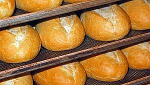 Samsun’da ekmekte GDO çıkmadı
