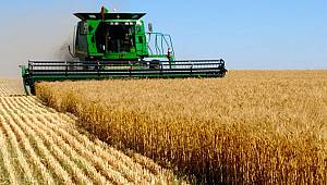 Samsun’da firmalar Rusya’ya Buğday resti