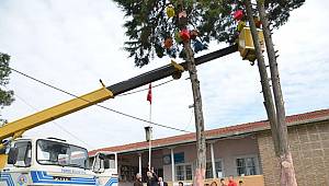 Terme’de ağaçlara kuş yuvası asıldı