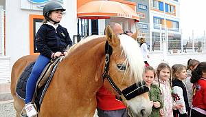 Atların masal dünyası