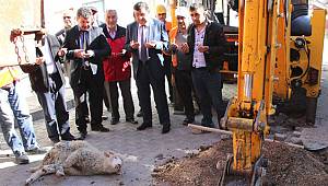 Havza'da doğalgaz çalışmaları