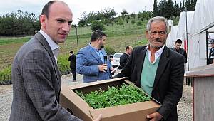 140 bin fide dağıtıldı 