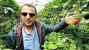 Hobi ticarete dönüştü