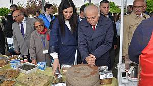 Ot yemekleri festivali