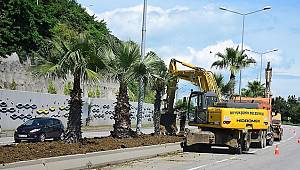 Samsun olimpiyatlara hazırlanıyor 
