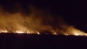 Terme'de büyük sazlık yangını 