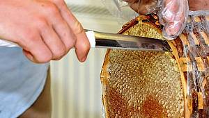 Arıcılığa 211 Bin TL destek