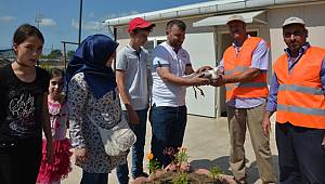 Yaralı martı için seferber oldular 