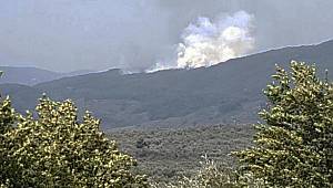 Kazdağları'nda orman yangını