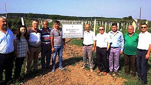 Kivi ve Şeftali üretimine destek 