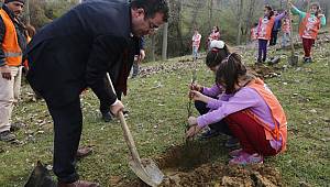 Atakum'da ağaçlandırma 