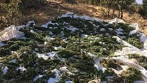 Diyarbakır'da dev operasyon