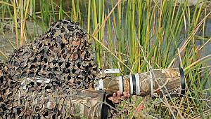 Kızılırmak Deltası'nda foto safari 