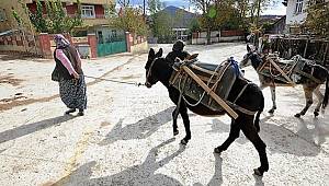 98 yıllık sorun çözüldü