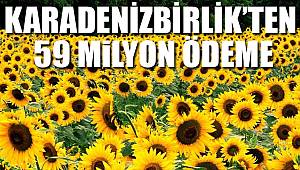 Karadenizbirlik'ten 59 milyon ödeme