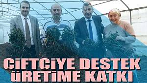 Kesme çiçekçilik üretimi artıyor