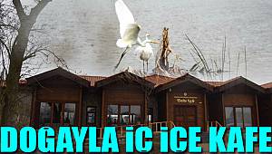 Doğayla uyumlu kafe