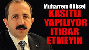 Göksel, 'Yanlış bilgilere itibar etmeyin'