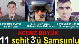 11 şehit 3'ü Samsunlu acı büyük
