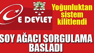 E devlet Soy ağacı alt üst son sorgulama başladı nasıl yapılır
