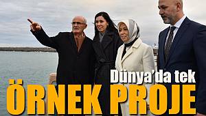 Mavi Işıklar Dünya’da örnek