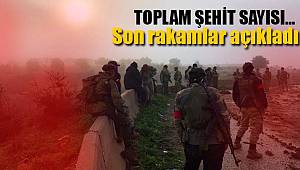 Afrin'de son şehit sayısı açıklandı 