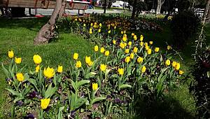 İlkadım'da çiçekler açtı