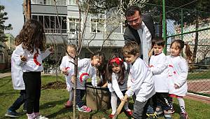 Parklara meyve fidesi dikildi 