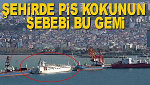 Samsun'da denizden koku şehri sardı 
