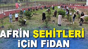 Şehitler için fidan dikildi